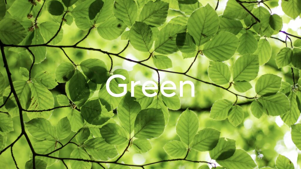 Presentatieslide 'Green' over groene bladeren: duurzaam streamen